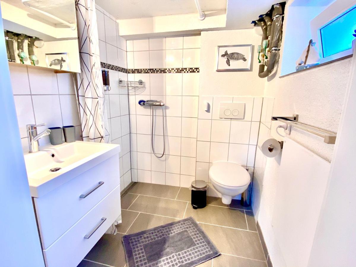 Modernes Mit Kuechenzeile Und Bad Apartment